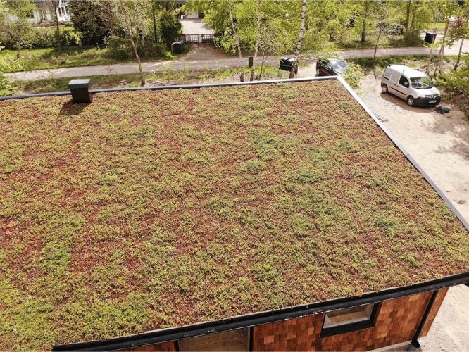 26. Laggning av sedumtak pa garage